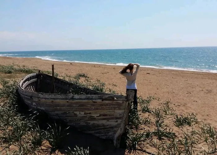 Chrisas Hause * Kato Samikon